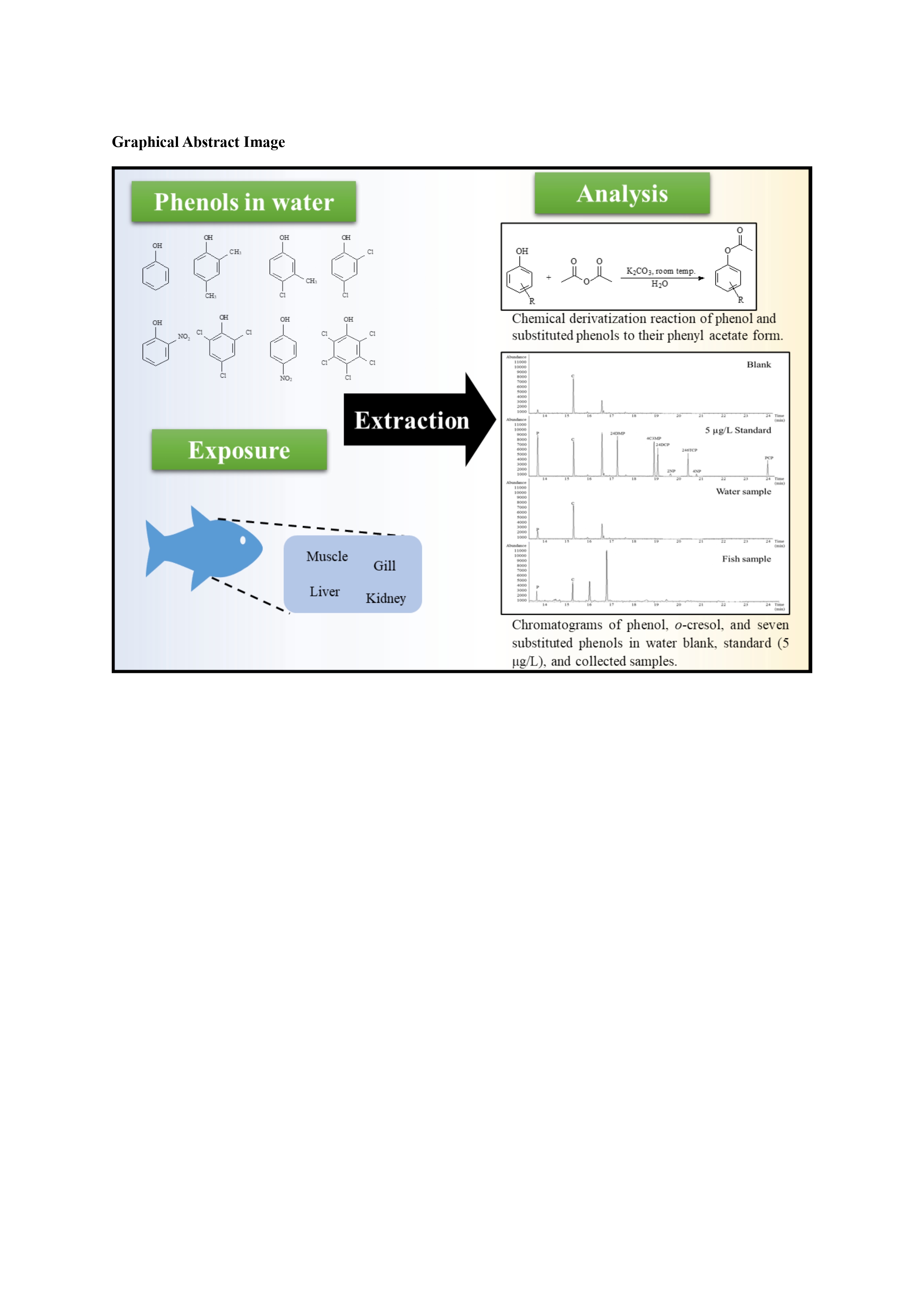 AST-2023-025_R1_P_Graphical Abstract_001_page-0001.jpg